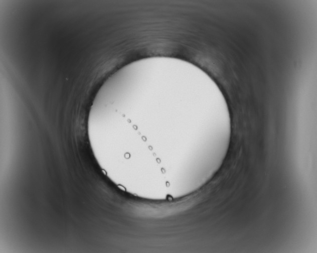 X0000086340017200704202110