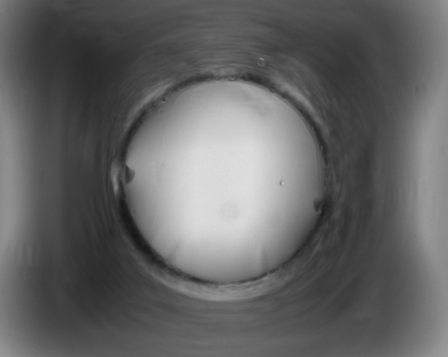 X0000086340019200704202110