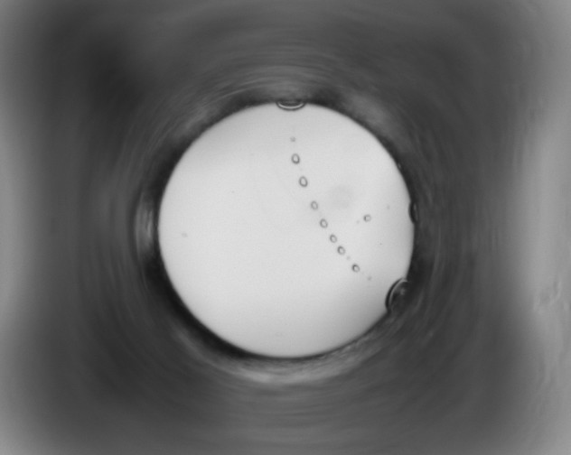 X0000086340021200704202110