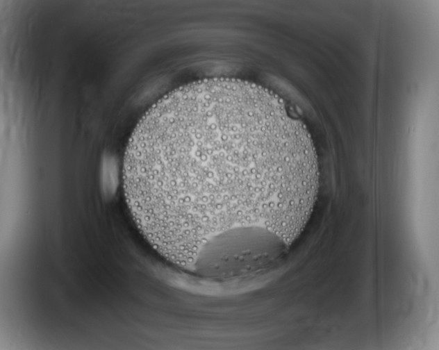 X0000086340022200704202110