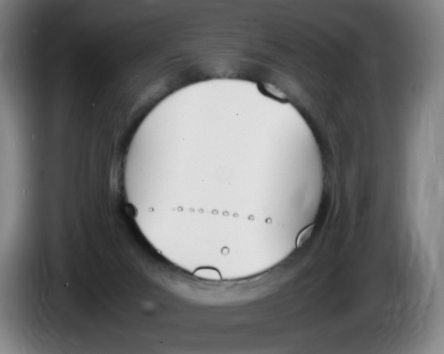X0000086340023200704202110