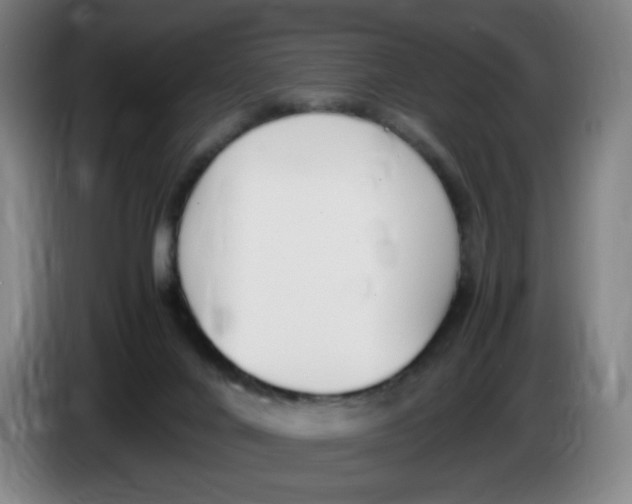 X0000086340024200704202110