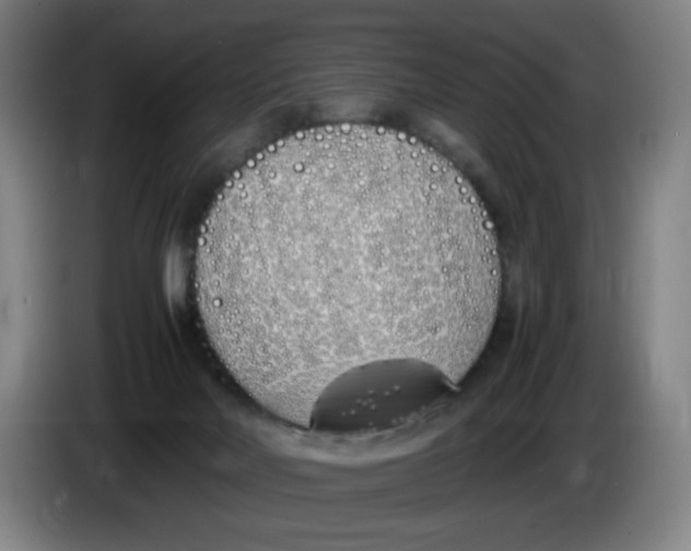 X0000086340026200704202110