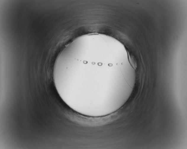 X0000086340031200704202110