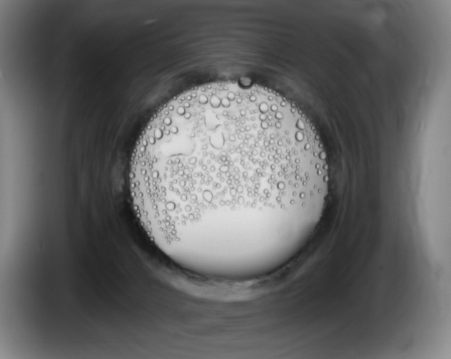 X0000086340032200704202110