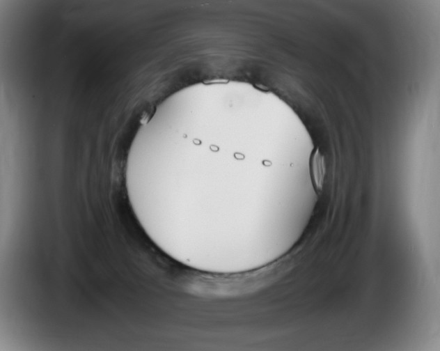 X0000086340033200704202110