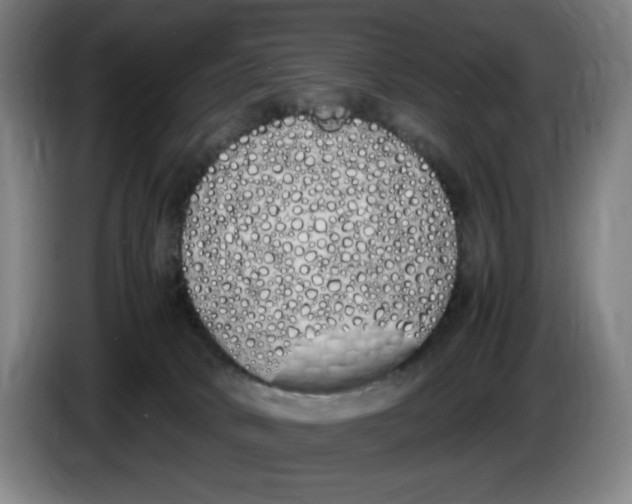 X0000086340034200704202110