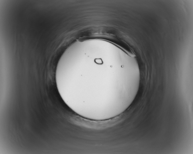 X0000086340035200704202110
