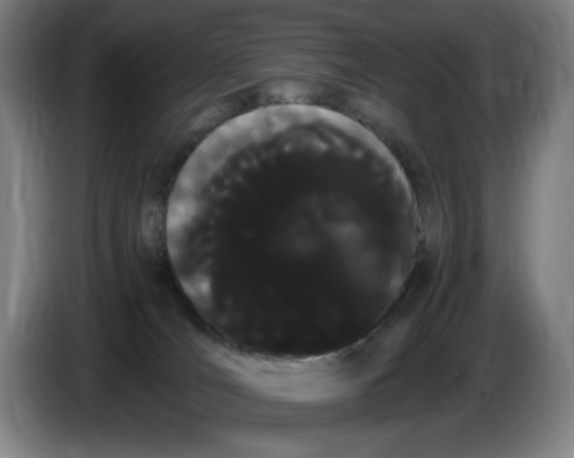 X0000086340036200704202110