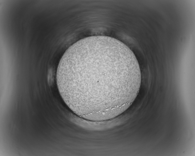 X0000086340038200704202110