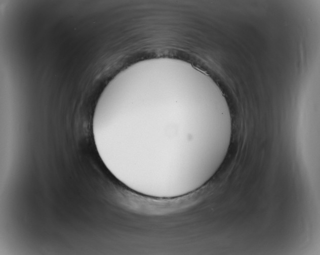 X0000086340039200704202110