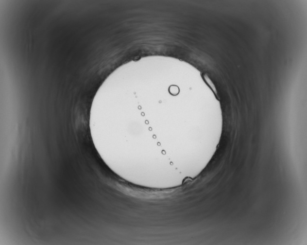 X0000086340040200704202110