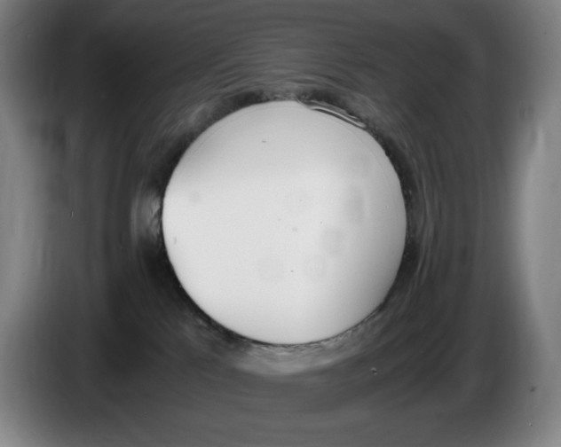 X0000086340041200704202110