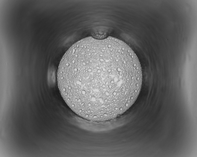 X0000086340042200704202110