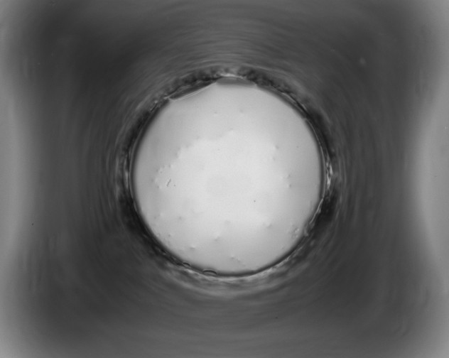 X0000086340043200704202110