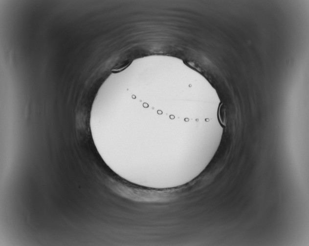 X0000086340044200704202110