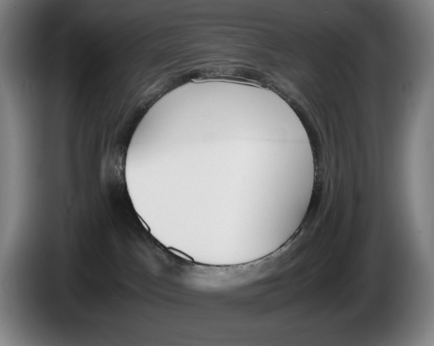 X0000086340045200704202110