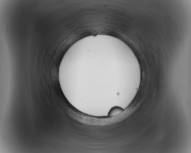 X0000086340048200704202110