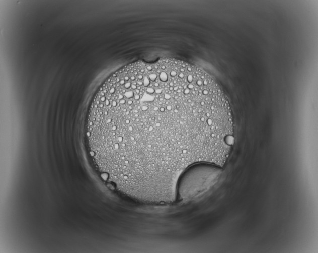 X0000086340049200704202109