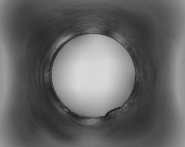 X0000086340050200704202109