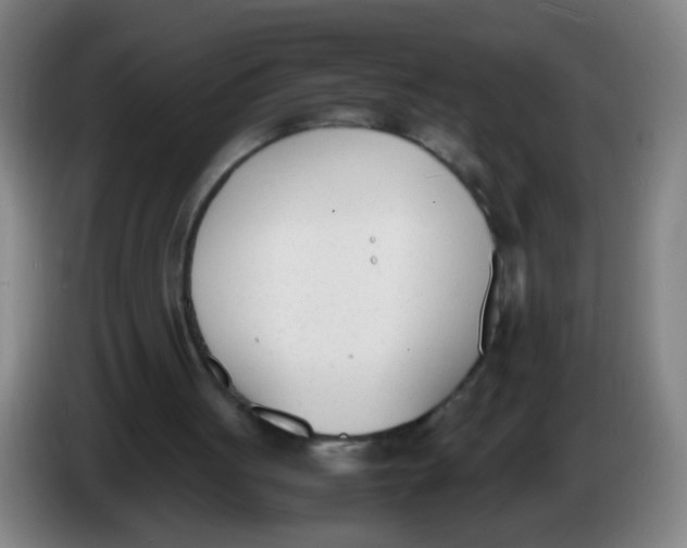 X0000086340051200704202109