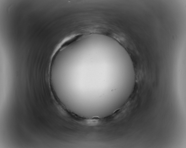 X0000086340052200704202109