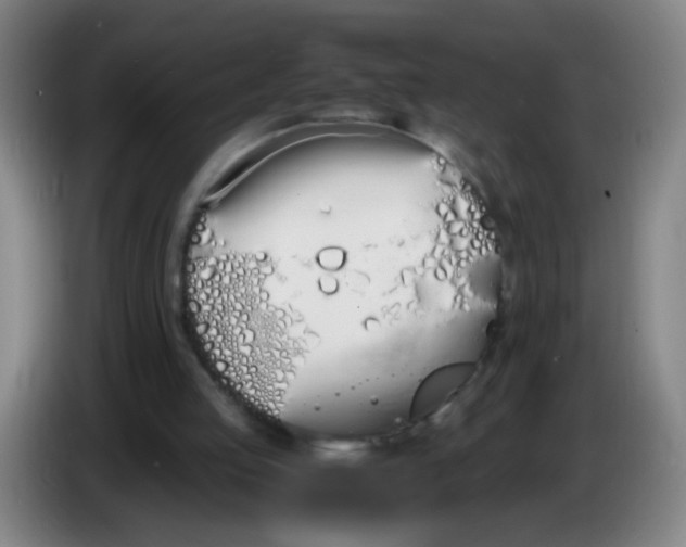 X0000086340053200704202109