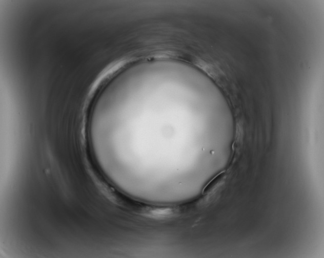 X0000086340054200704202109
