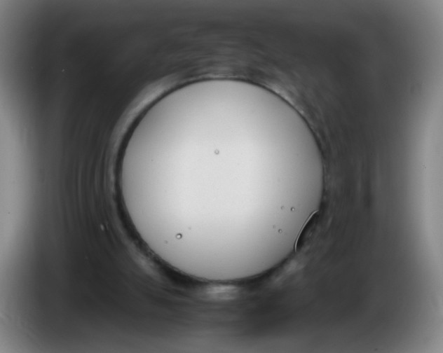 X0000086340055200704202109