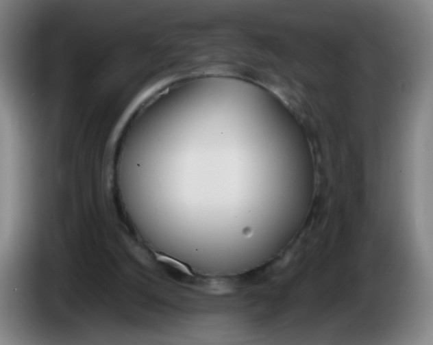 X0000086340056200704202109