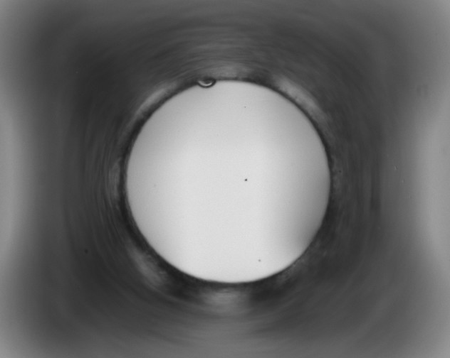 X0000086340058200704202109