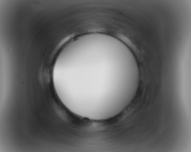 X0000086340060200704202109