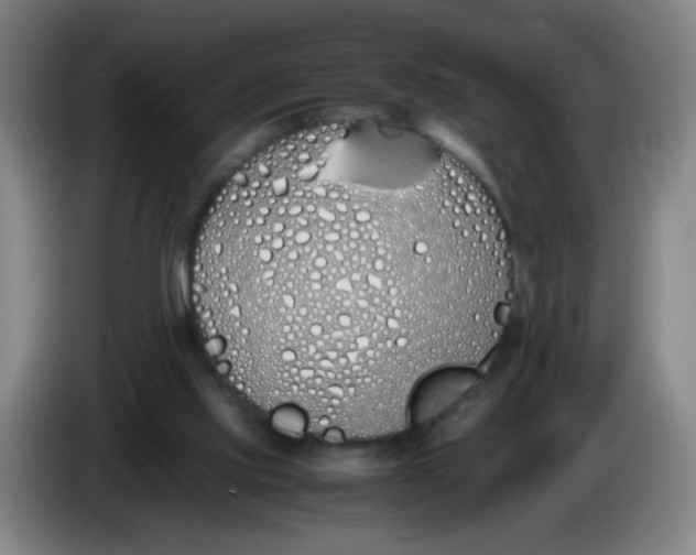 X0000086340061200704202109
