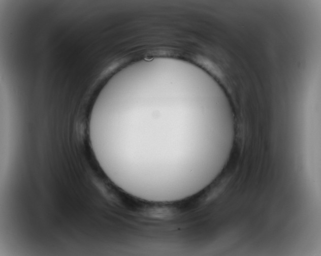 X0000086340063200704202109