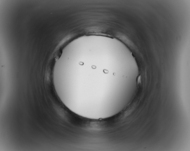 X0000086340064200704202109