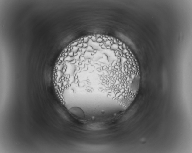 X0000086340065200704202109