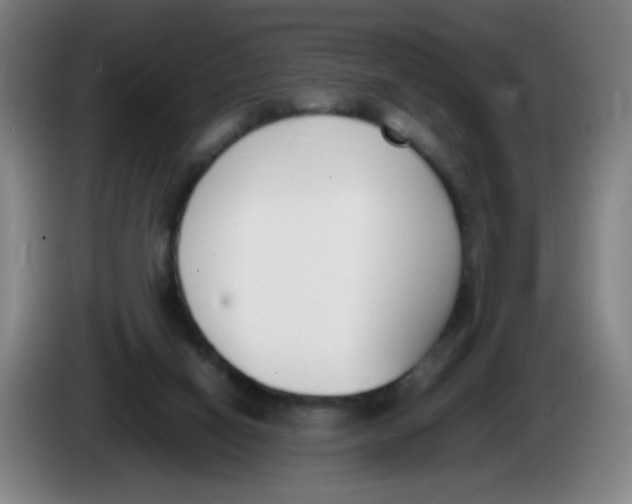 X0000086340066200704202109