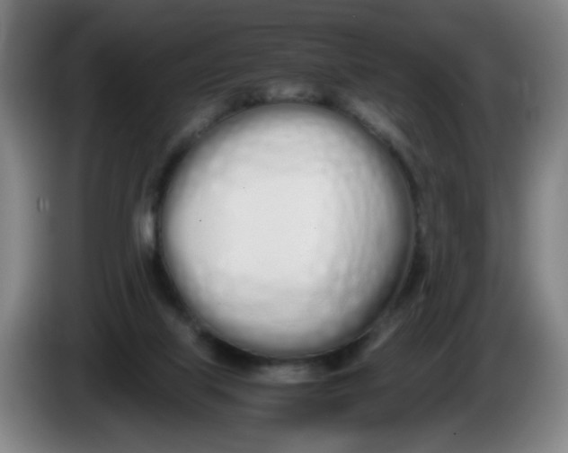 X0000086340067200704202109