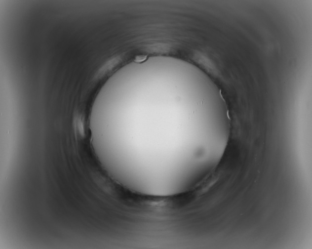 X0000086340068200704202109