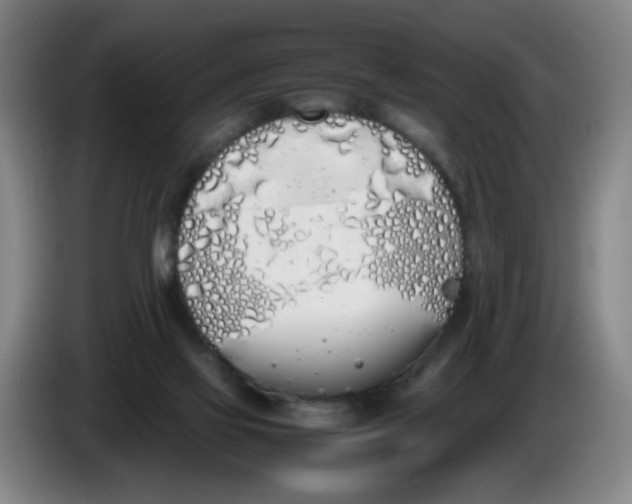 X0000086340069200704202109