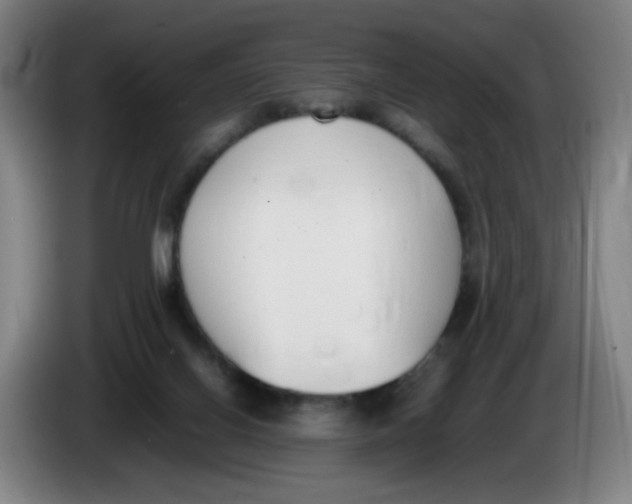 X0000086340070200704202109