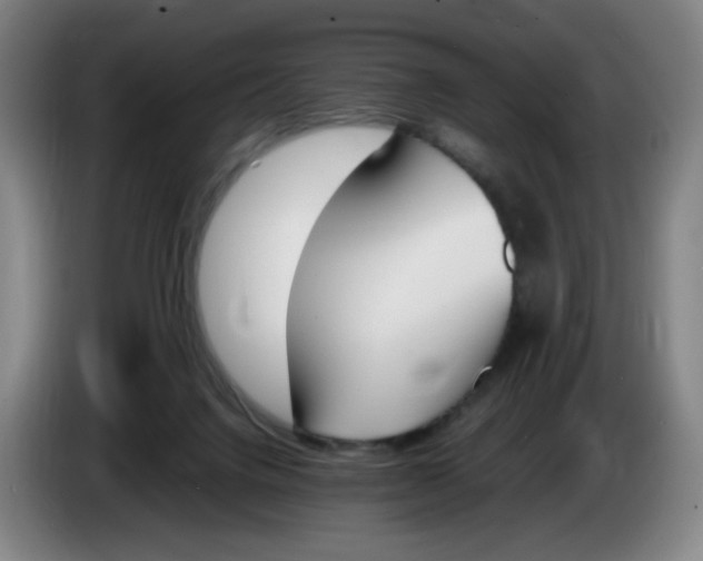 X0000086340072200704202109