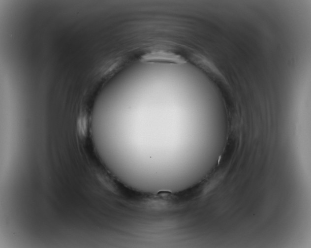 X0000086340076200704202109