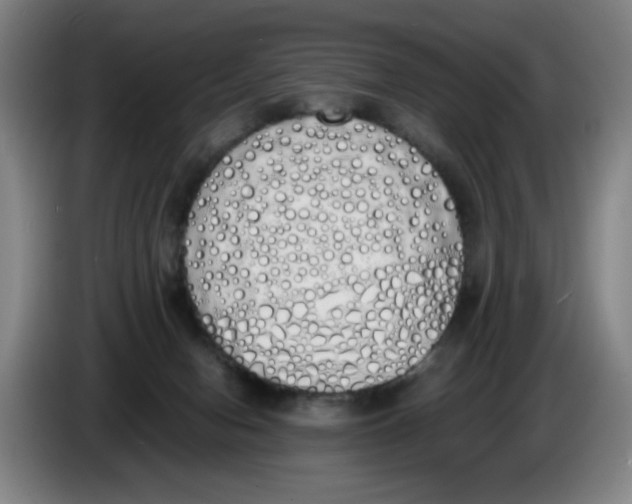X0000086340078200704202109