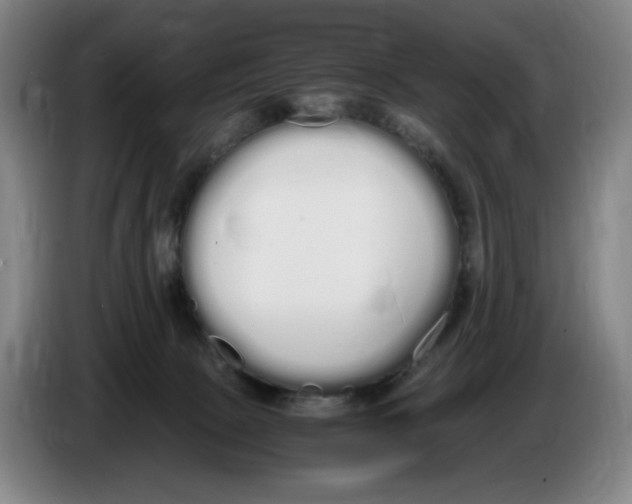 X0000086340081200704202109
