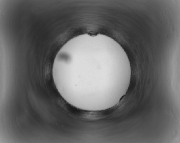 X0000086340082200704202109