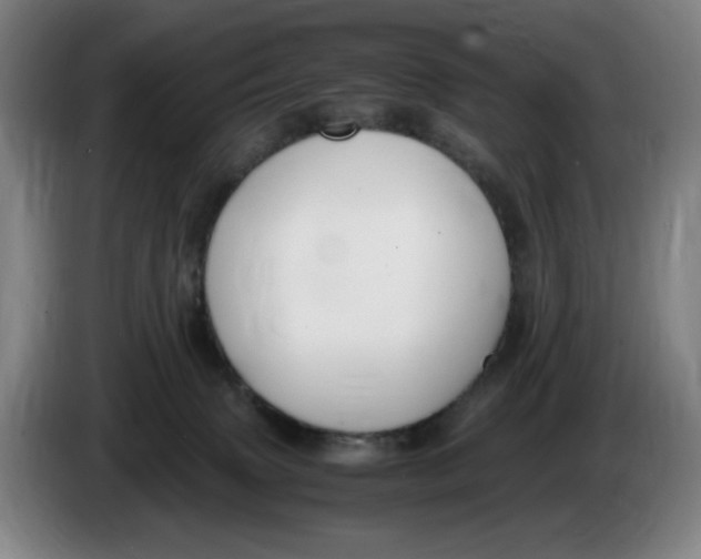 X0000086340083200704202109