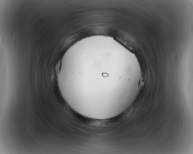 X0000086340084200704202109