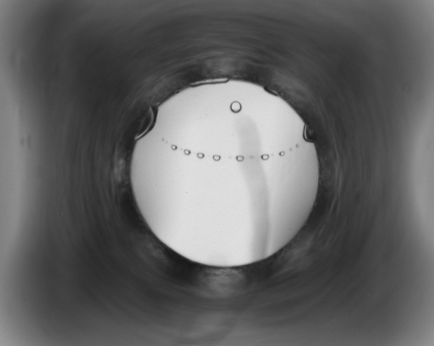 X0000086340087200704202109