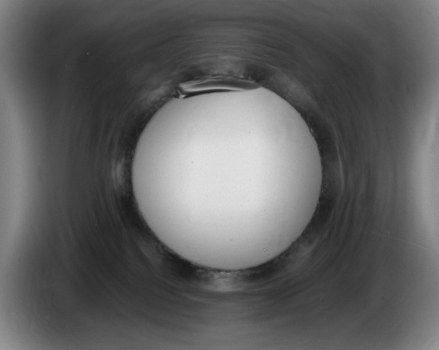 X0000086340088200704202109